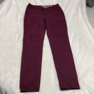 Silk Velvet Soft Deluxe Pants Maroon color size 9/29